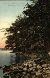 Shore at Lake Quassapang Waterbury, CT Original Vintage Postcard